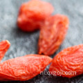 Biologische superfood goji bessen in de fabriek